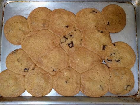 “Stay 6 feet apart this fall” - Mitch; People in the Physics building ...