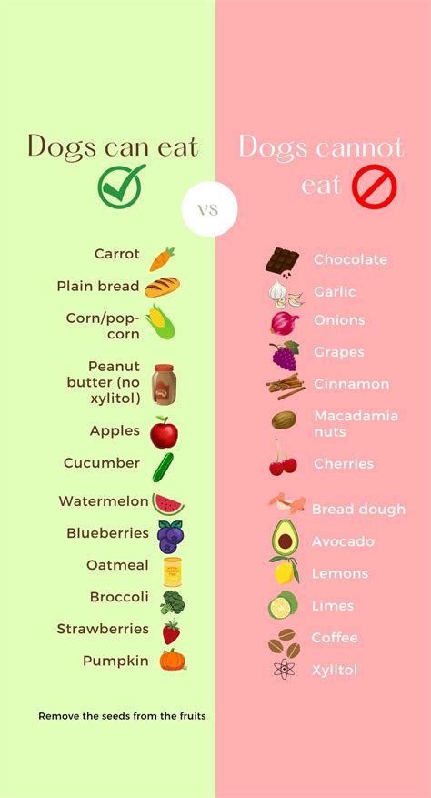 The top dangerous foods to avoid for your dog | Foods dogs can eat, Healthy dog food recipes ...