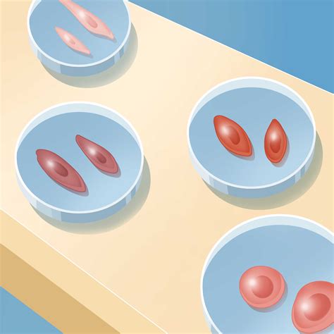 Reprogramming Cells 的图像结果