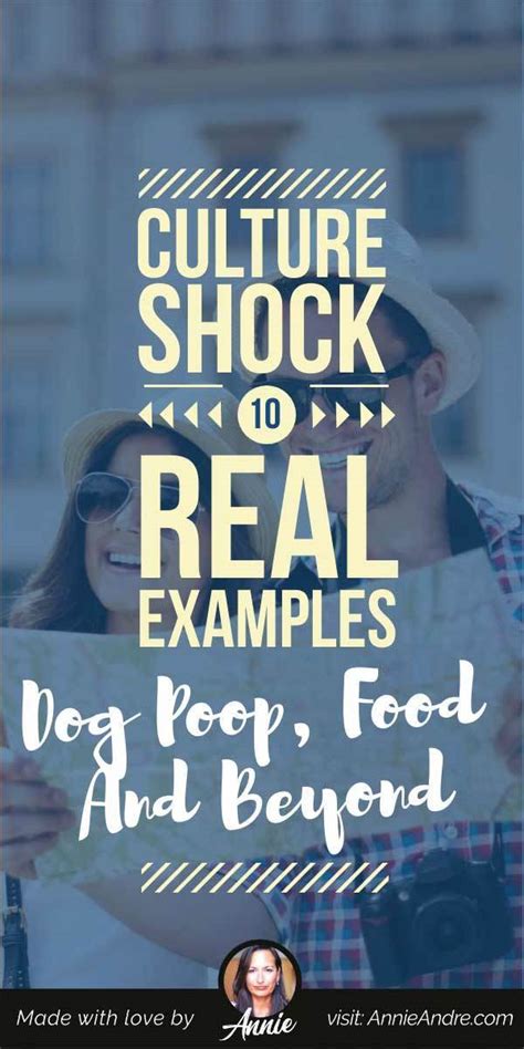 Culture Shock Example 的图像结果