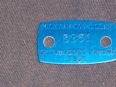 Vintage Michigan MI Dog License Tax Tag Shiawassee County 1982 # 8351 ...