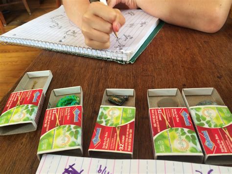 Image result for Matchbox Lesson