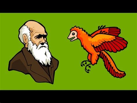 Image result for Evolution Lesson Videos