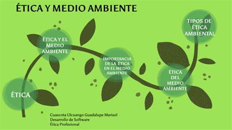 Image result for Give Me Example of Video Graphics Array