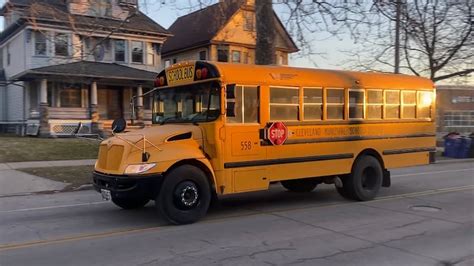 Geauga County non-profit in need following rescue of 40 puppies