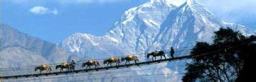 6 Days 5 Nights Siliguri to Lachung Forest Block Trip Package | Gangtok ...