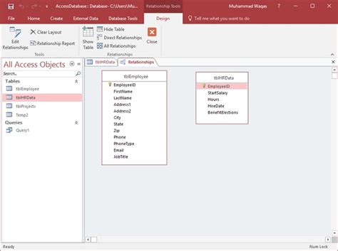 Access Database Query 的图像结果