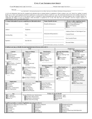 Brazos County Justice Web - Fill and Sign Printable Template Online