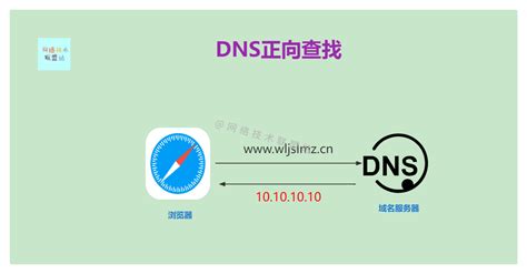 【科普】dns是什么，在网络中又起着什么作用_腾讯视频