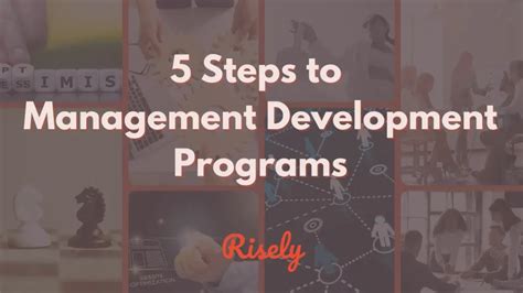 Management Development 的图像结果