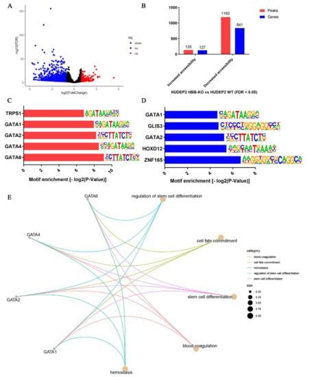 Multi-Omics Analysis in β-Thalassemia Using an HBB Gene-Knockout Human ...