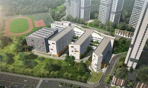 深圳多个学位紧张片区将新增公办学校！快看看你家附近有没有？_龙岗区_项目_龙岗街道