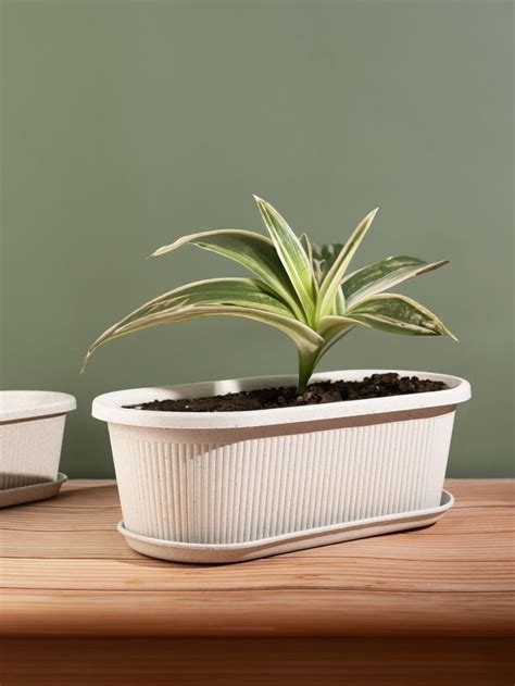 Rose Planter Big 16" Set of 2 – Irida Naturals