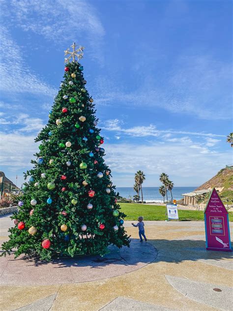 30 Best Family Christmas Events in San Diego for 2025 - San Diego Mamas