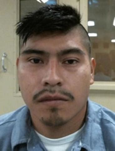 ICE arrests dozens of criminal illegal aliens convicted of murder ...