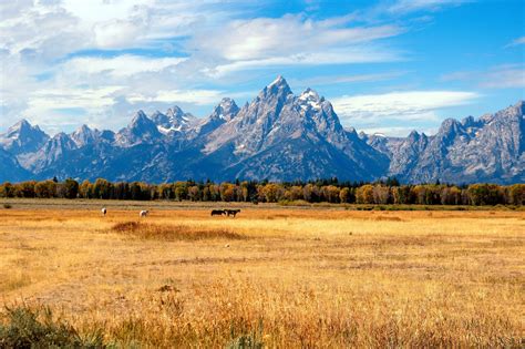Jackson Hole, Wyoming—A Green Haven—Boasts Unbeatable Views and ...