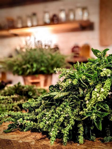 Herbal Cold & Flu Remedies , The Folk Collaborative, Mc Caysville ...