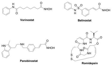 HDAC Inhibitors for the Therapy of Triple Negative Breast Cancer