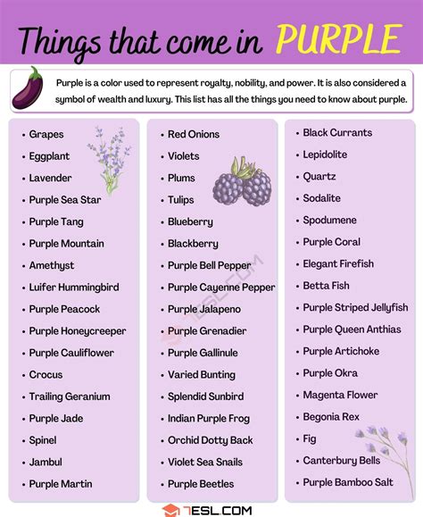 80+ Interesting Things that are Purple • 7ESL