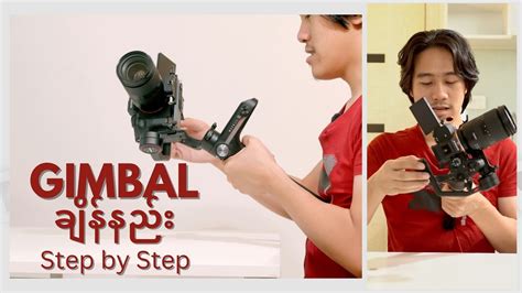 Gimbal Tutorial 的图像结果