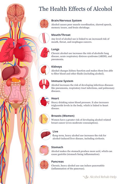 Long Term Effects Of Drinking Alcohol On Your Body And Brain