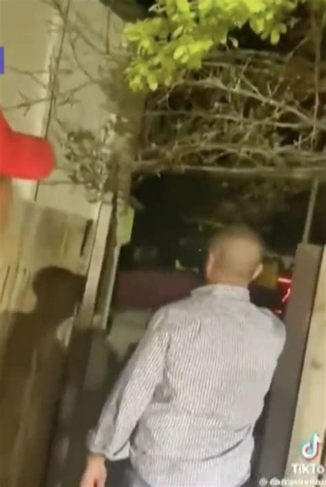 Image result for Alien in Backyard Vegas