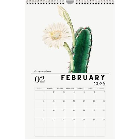 2026 Cactus Calendars – Planet Desert