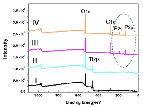 Synergistic Regulation Mechanism of Inorganic Thermal Oxidation Coating ...