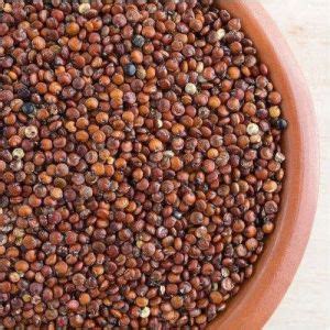 Rathore Trading Company Neemuch - Sarpagandha Roots Exporter and Supplier