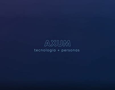 Axum Programming Language 的图像结果