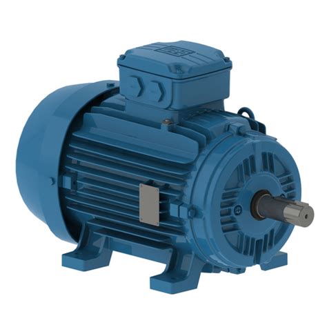 W21 - Cast Iron TEFC General Purpose | W21 - Cast Iron TEFC | Cast Iron ...