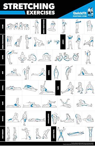 Buy Stretching Exercise Workout - LAMINATED - How to Stretch Specific ...