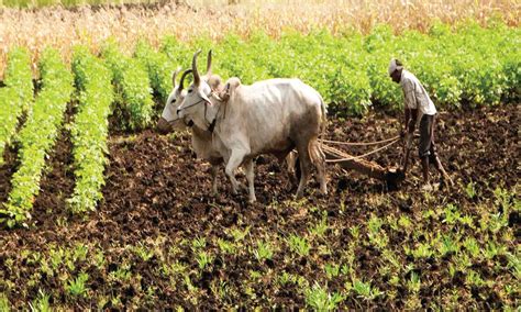 Image result for Structural Transformation