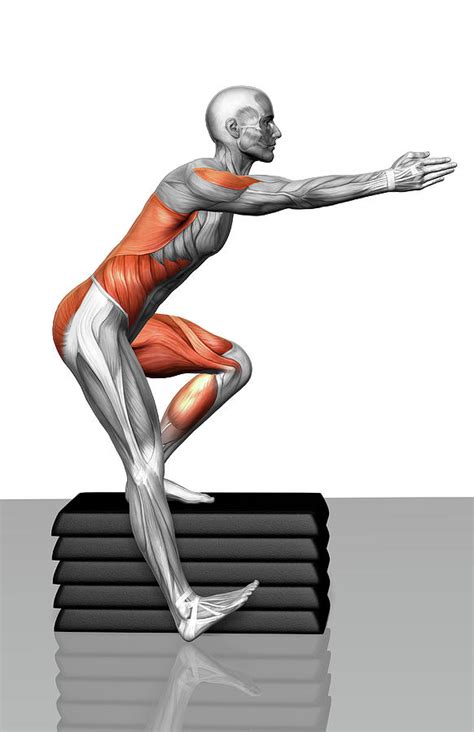 Image result for Forward Step Down Exercise