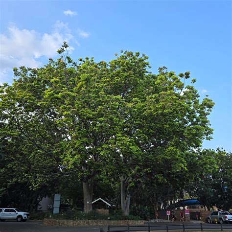 ATKV BUFFELSPOORT HOLIDAY RESORT - UPDATED 2026 Campground Reviews ...