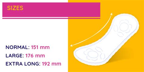 Buy Bella Panty Intima Plus Ultrathin Pantyliners Large 40 Pcs Online ...