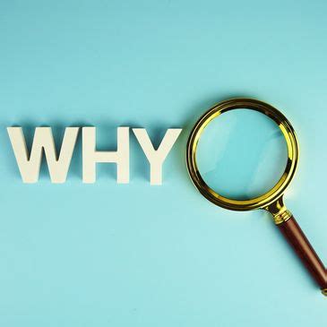 Our Team | NexaStats Analytics