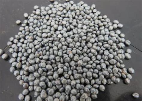 Seed Coating Polymer Manufacturer from Hapur