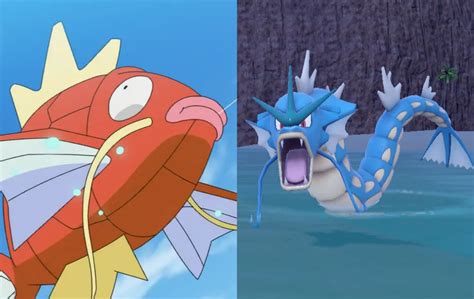Level That Magikarp Evolves