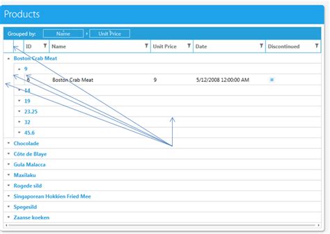Image result for RadGridView WPF Tutorial