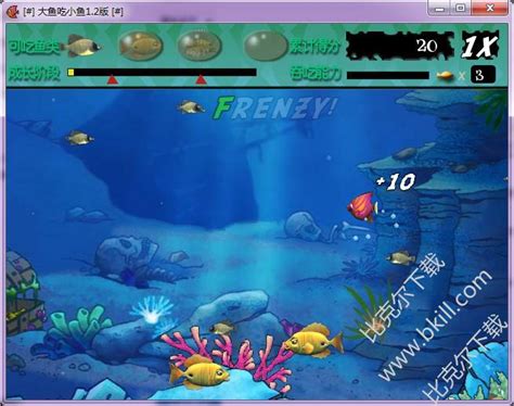大鱼吃小鱼单机电脑版|大鱼吃小鱼小游戏单机版下载 v1.2 绿色经典版 - 比克尔下载