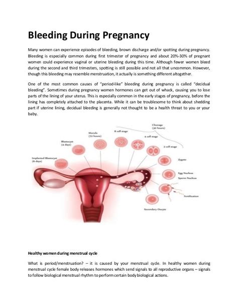 Bleeding during pregnancy
