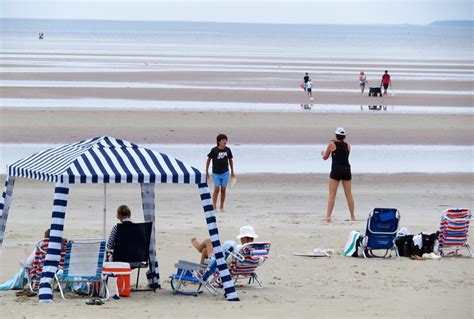 Sharks Bite Into Some Cape Cod Activity, But Not in Brewster