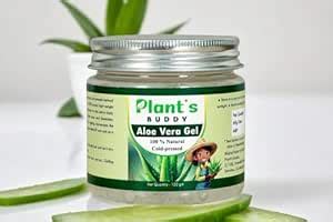 PLANT'S BUDDY - 100% Natural, Pure, Cold-Pressed Aloe Vera Gel - For ...