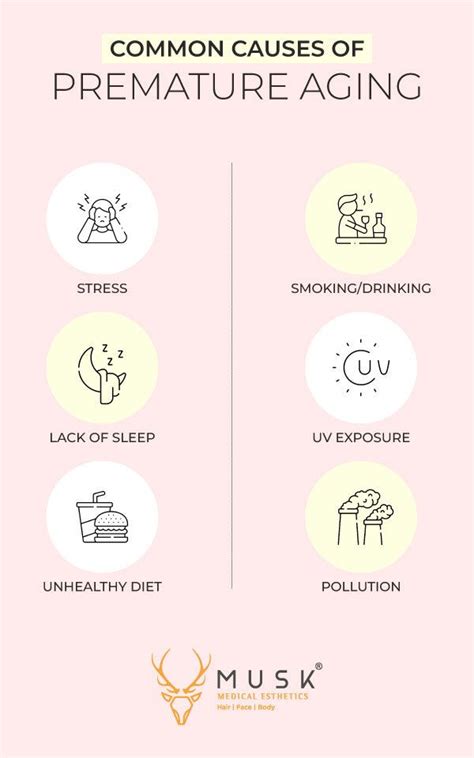 Image result for Accelerated Aging Causes