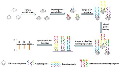 Optical Thickness-Encoded Suspension Array for High-Throughput ...