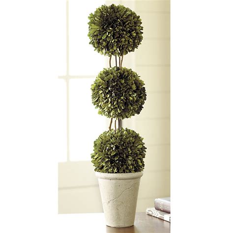 Triple Ball Preserved Boxwood Topiary - Treble Ball Topiary - Boxwood ...