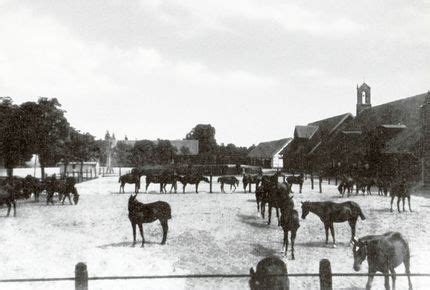 Neuhof-Ragnit – GenWiki