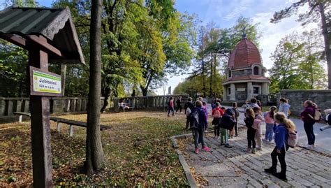 Uczniowie SP nr 3 odwiedzili limanowskie cmentarze - Limanowa.in