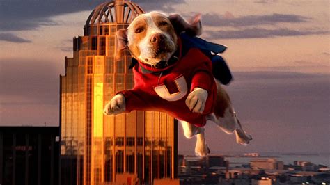 Ver Superdog (2007) Online Latino HD - Repelisplus